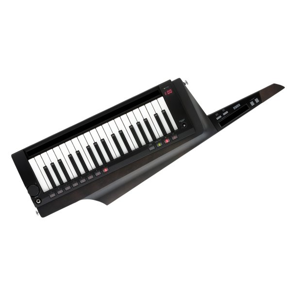 KORG RK-100S 2BK Keytar Sort